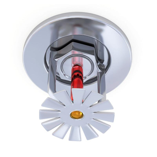 Fire Sprinkler System