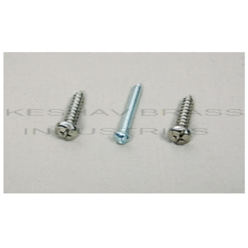 Polished Precision Self Tapping Screw