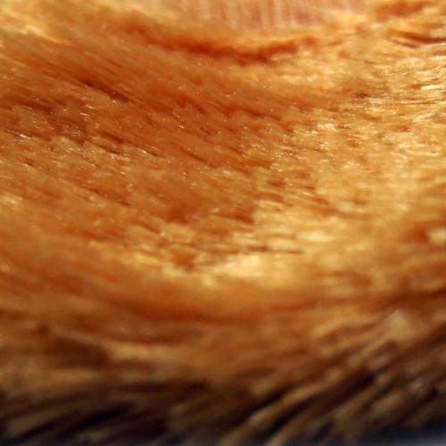Plush Soft Toys Fur Fabric