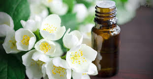 Jasmine Oil Gender: Female