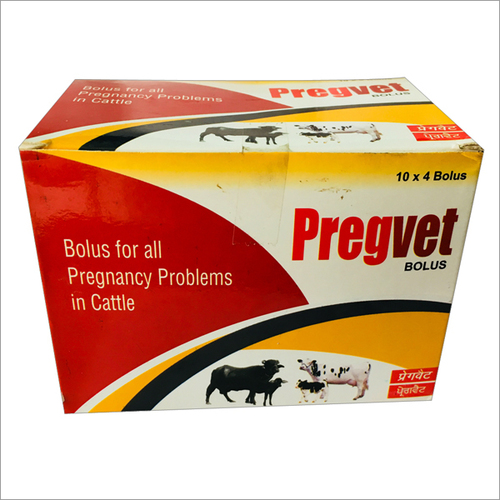 Cattle Pregnancy Feed Supplement Cattle Pregnancy Feed Supplement
