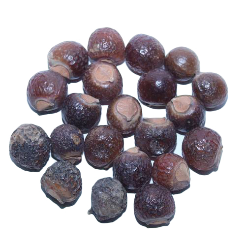 Ayurvedic Ritha