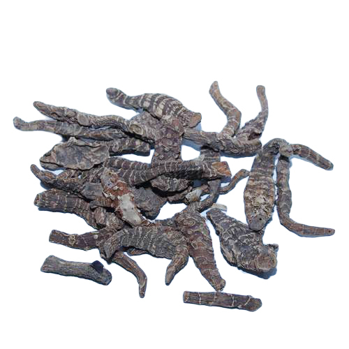 Begsoshan Seed