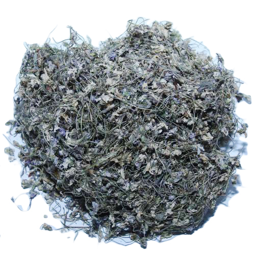 Gul E Banafsha