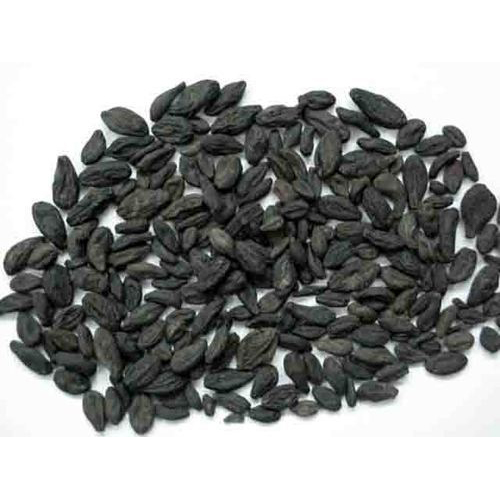 Kali Harad Black Himej Myrobalan Terminalia Chebula