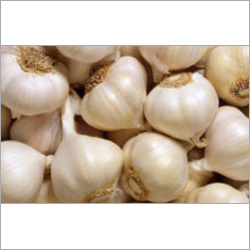 Organic Garlic