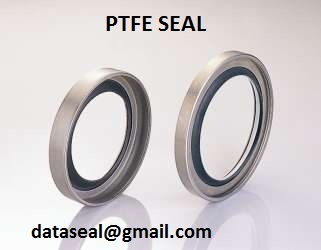 ptfe seals
