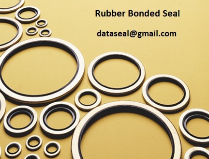 Rubber Bonded Seal