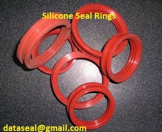 Silicone Seal Rings