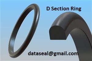 D Section Ring