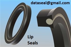 Lip Seal