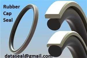 Rubber Cap Seal