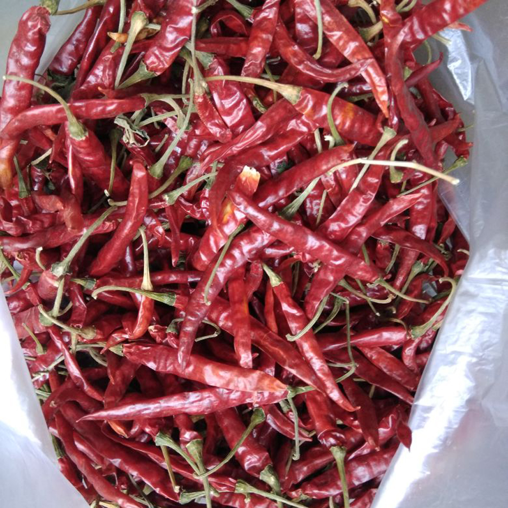 Red Chili