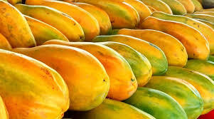 Papaya