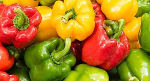 Capsicum