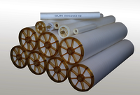 Spiral Sanitary Nf Membrane