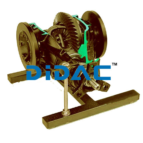 Differential Gear With Hypoid Gearing