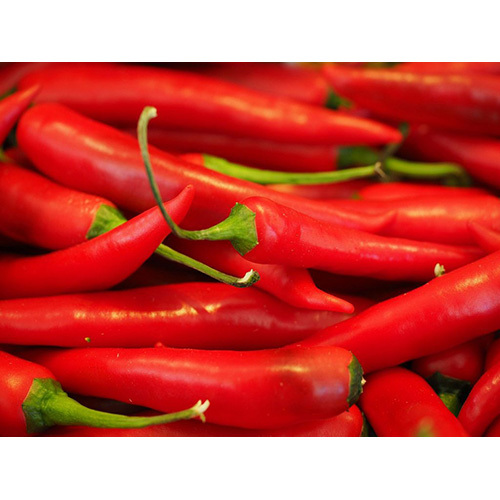 Organic Red Chilli