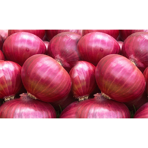 Organic Fresh Onion
