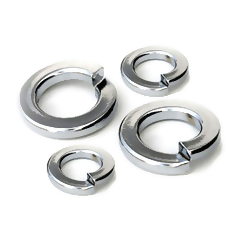 SS Spring Washers