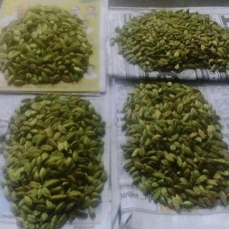 Green Cardamom