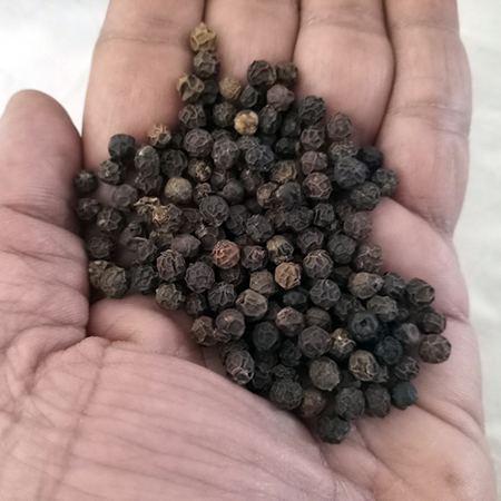 Organic Black Pepper