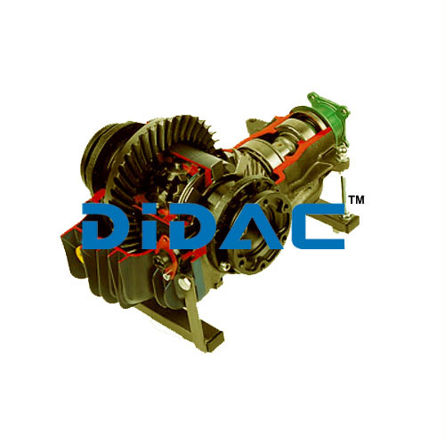 Rear Wheel Drive With Disk Locking System By DIDAC INTERNATIONAL