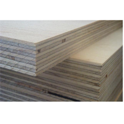 Birch Plywood