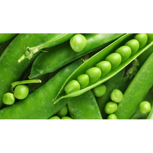 Canned Green Peas