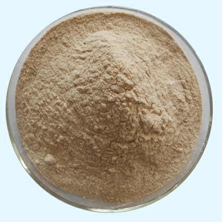 Acid Protease Enzyme