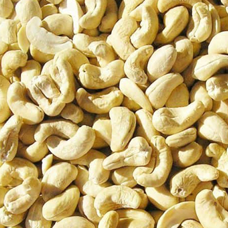 Whole White Cashew Nut