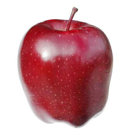 Fresh Apple