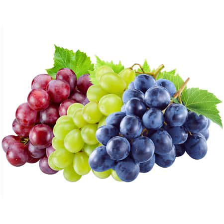 Fresh Grapes