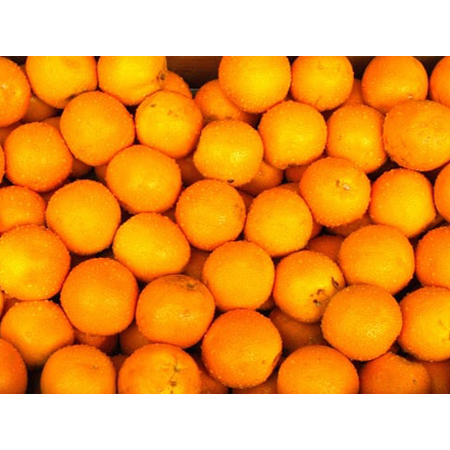 Basic Orange