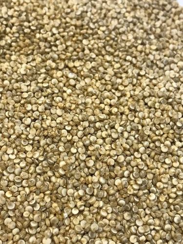 Organic Quinoa