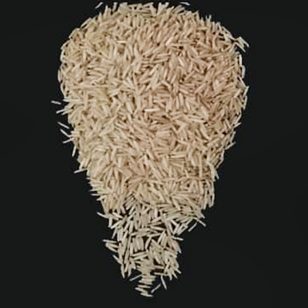 Pusa Brown Rice