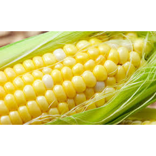 Triangular Sweet Corn