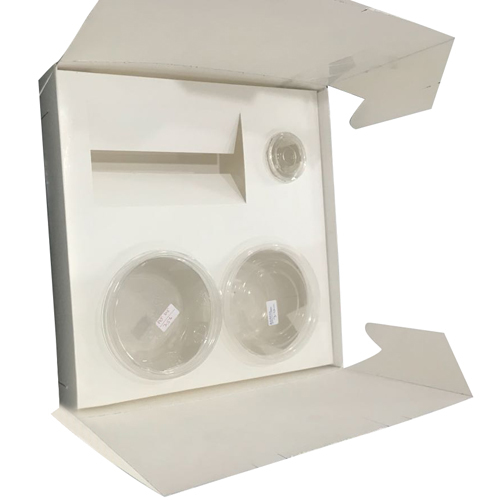 Paper Food Box