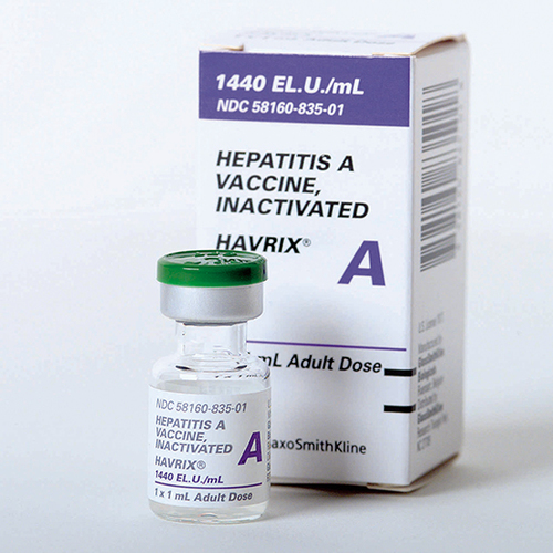 Hepatitis A Vaccine By SAINTROY LIFESCIENCE