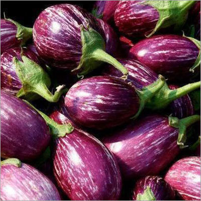 Natural Brinjal