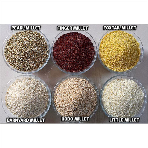 Pearl Millet