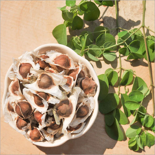 Moringa Seed
