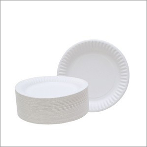 Plain Disposable Plate - Paper Pulp 9 Inch White, Convenient Lightweight Durable Eco-Friendly