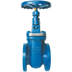 Cast Iron Steam Valve