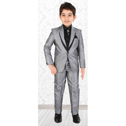 Kids Boys Silver Color Suit