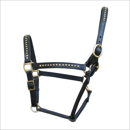 English Halter