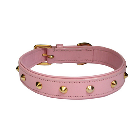 Dog Collar