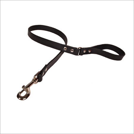 Dog Leash