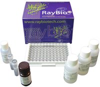 Ray Biotech Elisa Kit