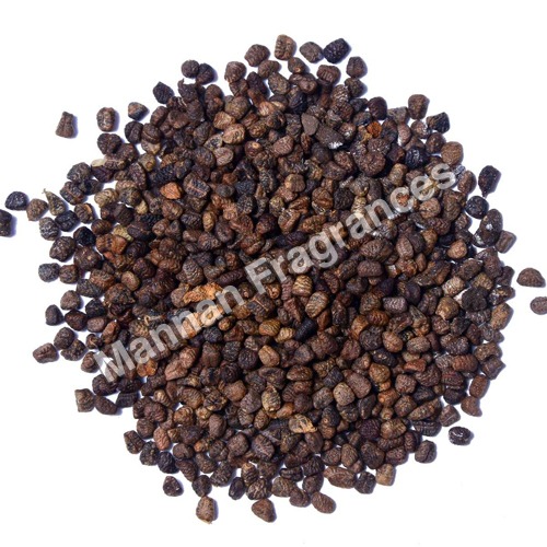 Cardamom Seed Oil